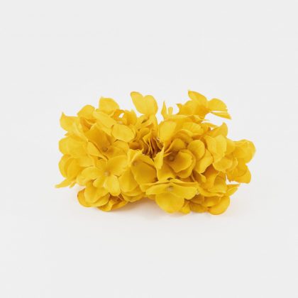Ramillete de hortensias